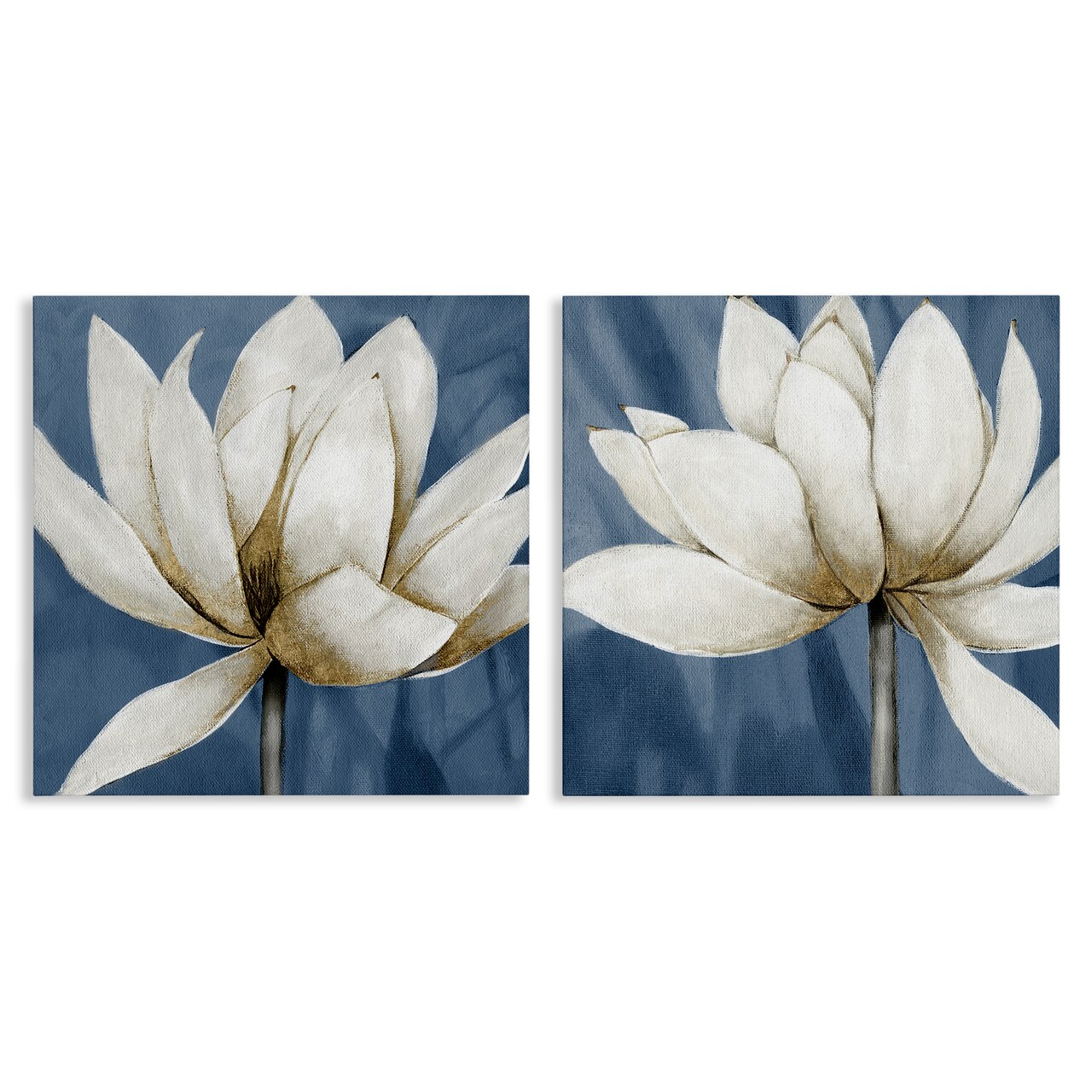 Stupell Industries Traditional Floral Falling Petals 2 pc Canvas Wall Art Set Design by Carol Robinson